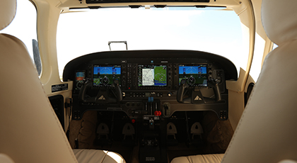 Piper Seneca